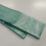 Kanchi tissue silk self rich pallu with blouse