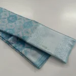 Kanchi tissue silk self rich pallu with blouse